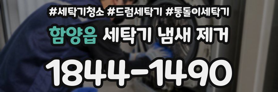 함양읍 세탁기 냄새 제거