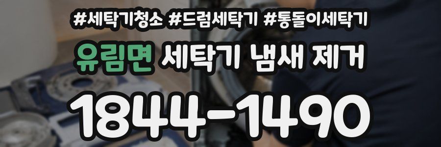 유림면 세탁기 냄새 제거
