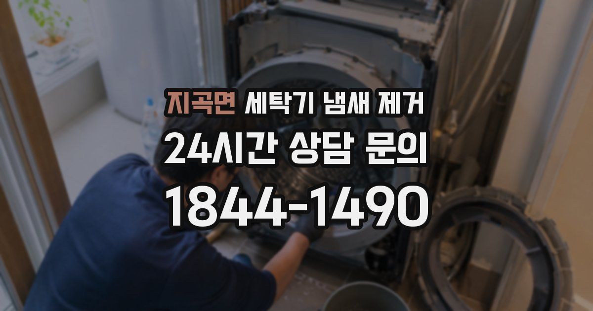 지곡면 세탁기 냄새 제거