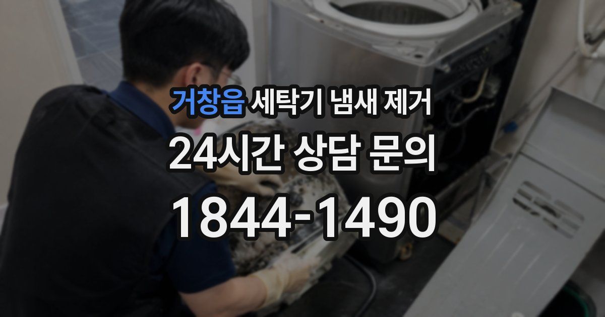 거창읍 세탁기 냄새 제거