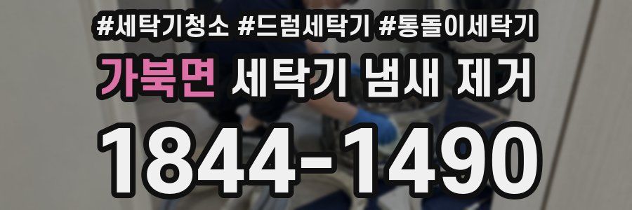 가북면 세탁기 냄새 제거
