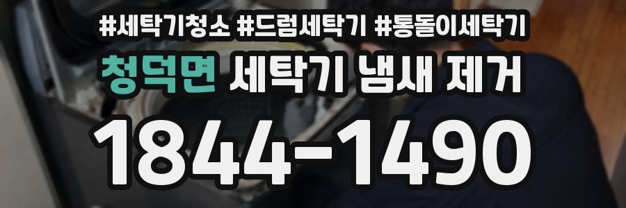 청덕면 세탁기 냄새 제거