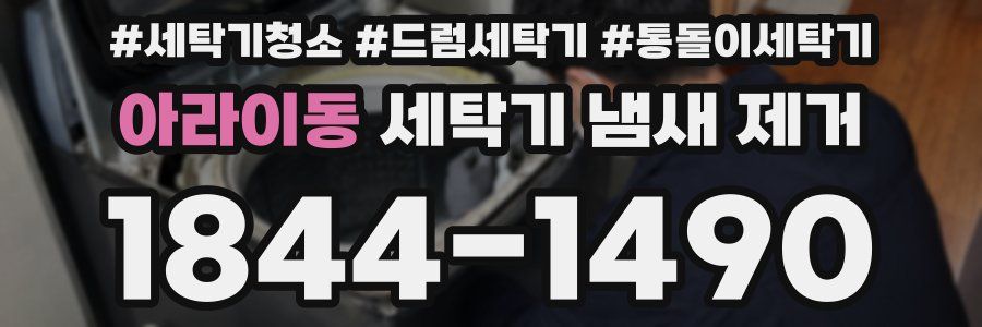 아라이동 세탁기 냄새 제거
