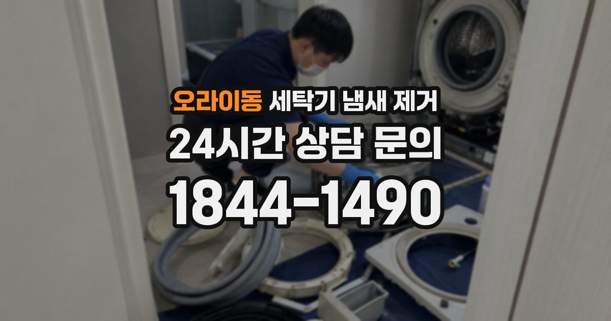 오라이동 세탁기 냄새 제거