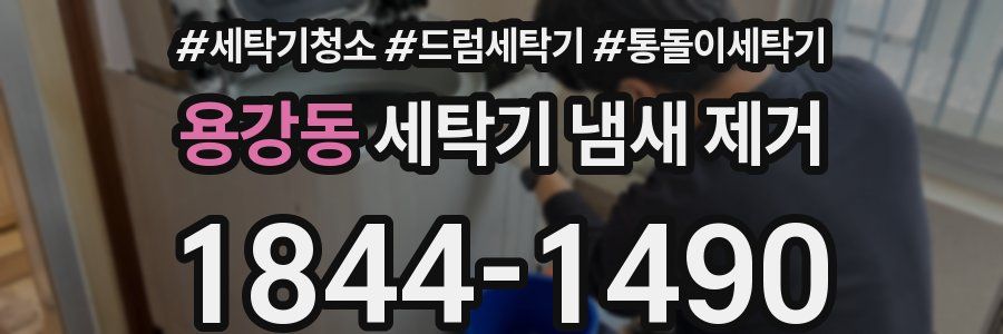 용강동 세탁기 냄새 제거