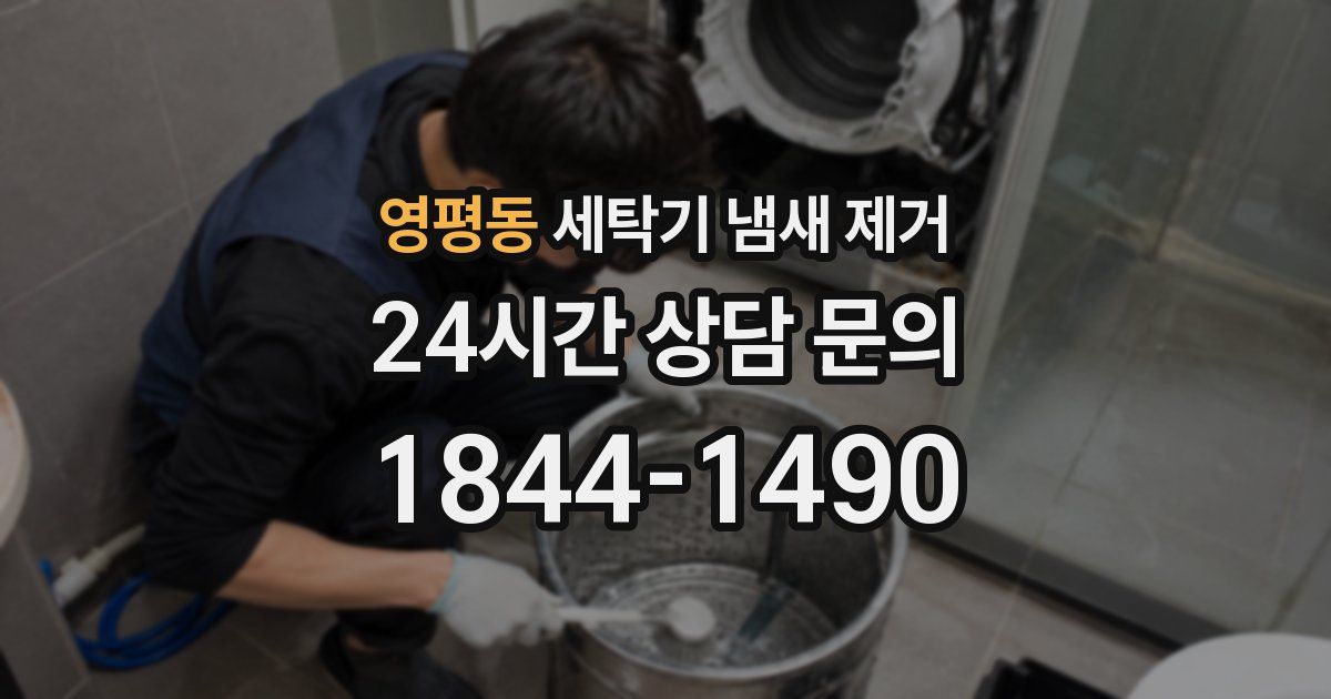 영평동 세탁기 냄새 제거