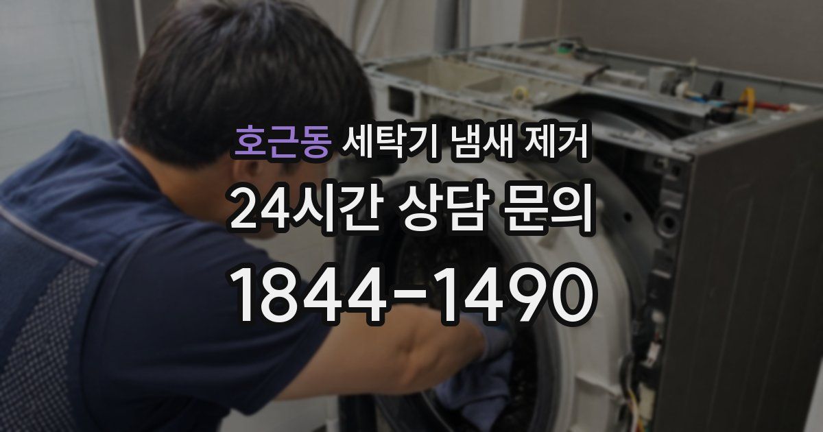호근동 세탁기 냄새 제거