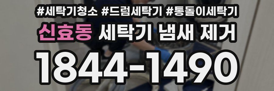 신효동 세탁기 냄새 제거