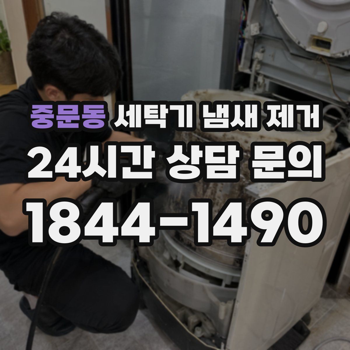 중문동 세탁기 냄새 제거