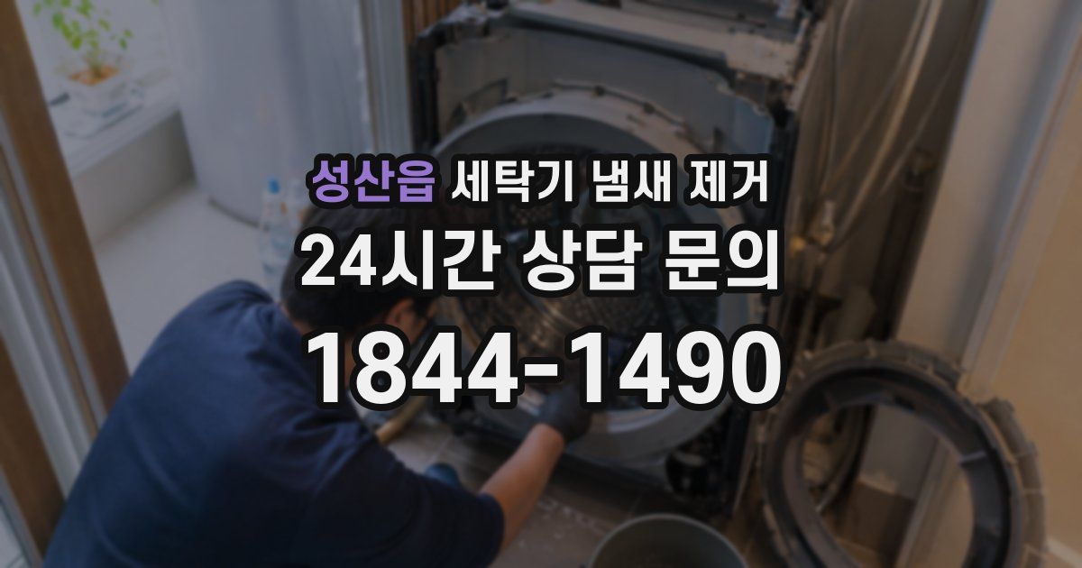 성산읍 세탁기 냄새 제거