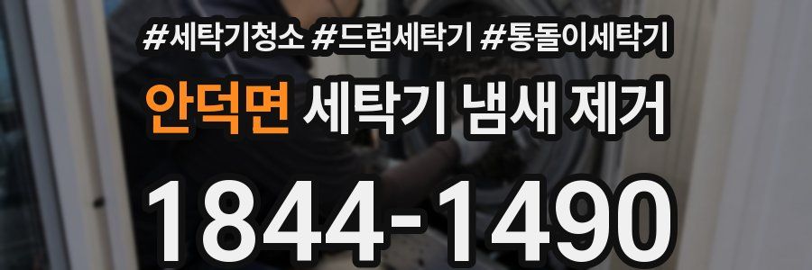 안덕면 세탁기 냄새 제거