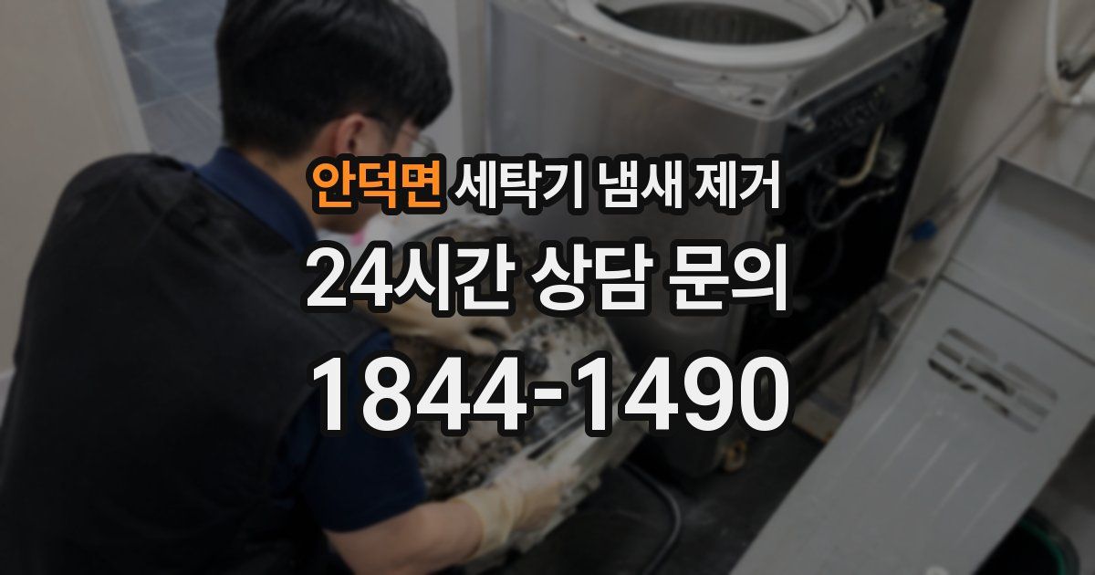 안덕면 세탁기 냄새 제거