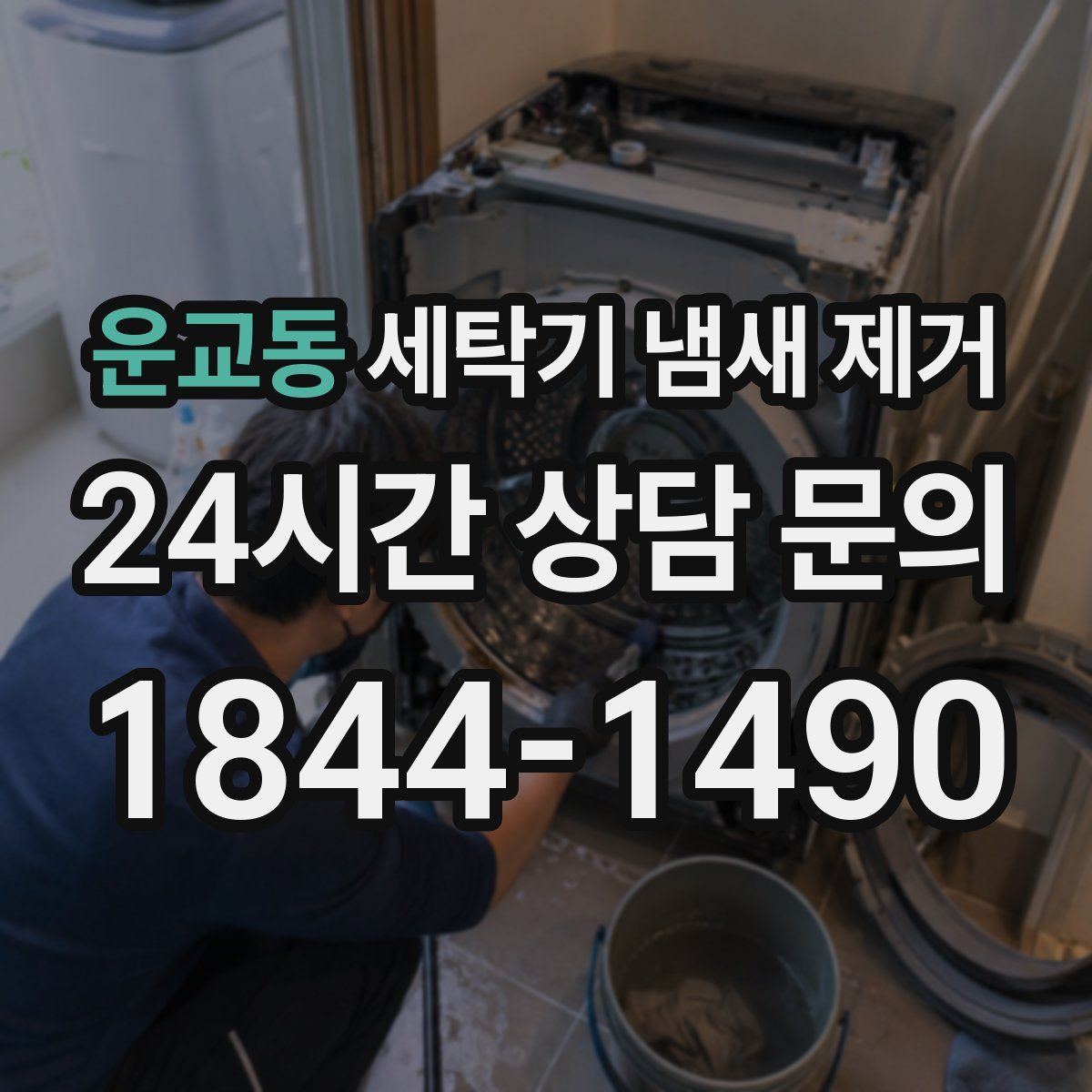 운교동 세탁기 냄새 제거