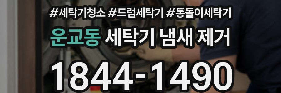운교동 세탁기 냄새 제거