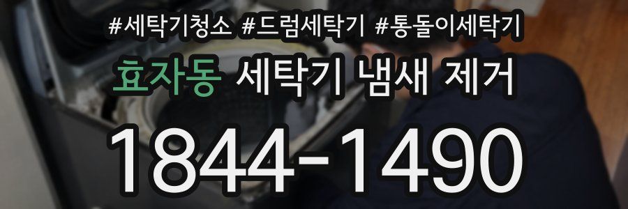 효자동 세탁기 냄새 제거