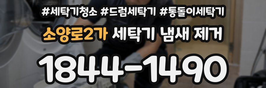 소양로2가 세탁기 냄새 제거