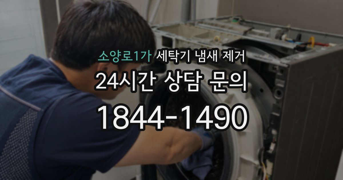 소양로1가 세탁기 냄새 제거