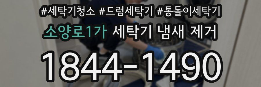 소양로1가 세탁기 냄새 제거