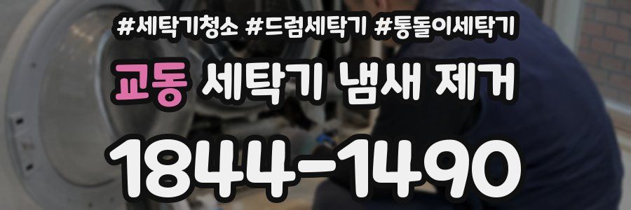 교동 세탁기 냄새 제거