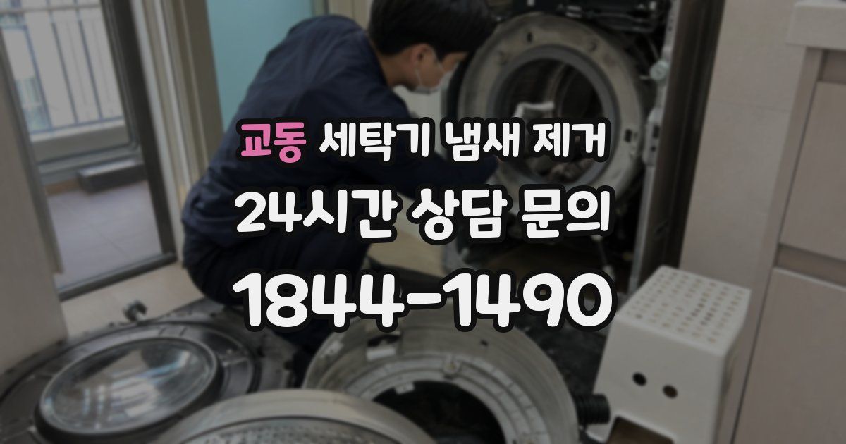 교동 세탁기 냄새 제거