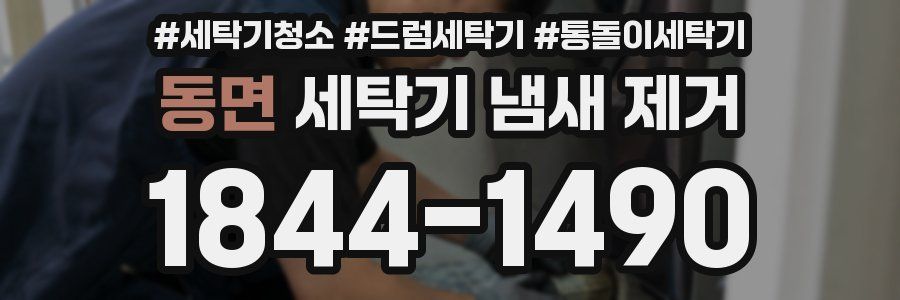 동면 세탁기 냄새 제거