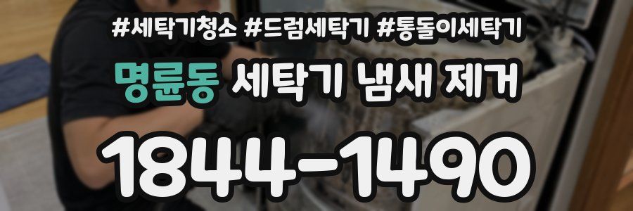명륜동 세탁기 냄새 제거