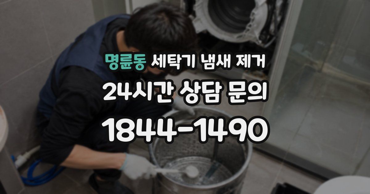 명륜동 세탁기 냄새 제거