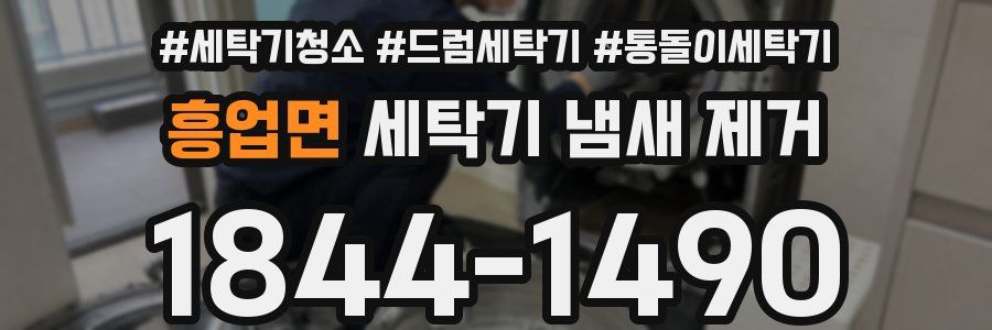 흥업면 세탁기 냄새 제거