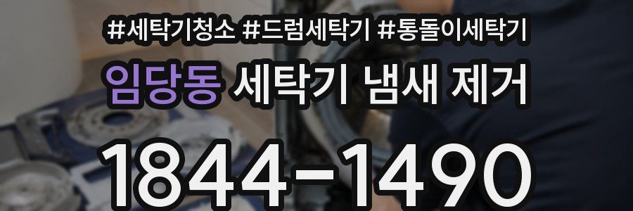 임당동 세탁기 냄새 제거