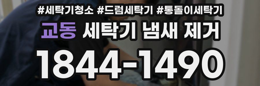 교동 세탁기 냄새 제거