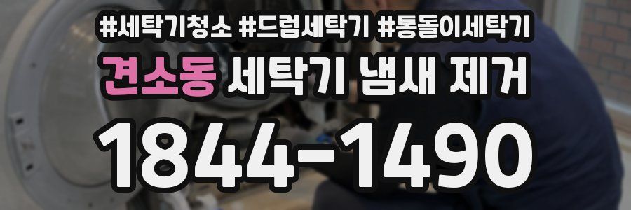 견소동 세탁기 냄새 제거