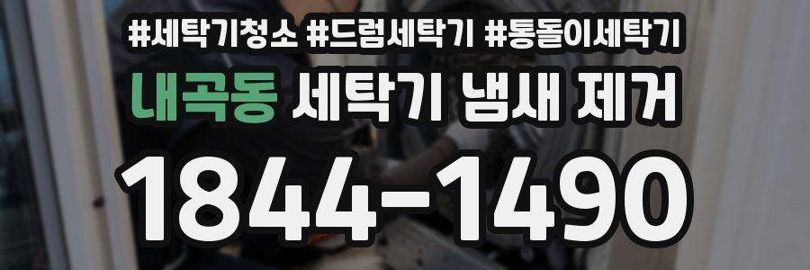 내곡동 세탁기 냄새 제거