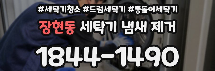 장현동 세탁기 냄새 제거