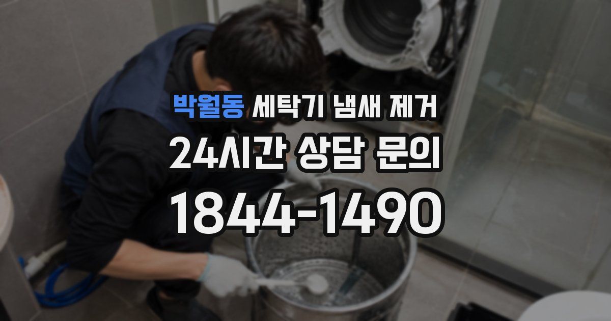 박월동 세탁기 냄새 제거