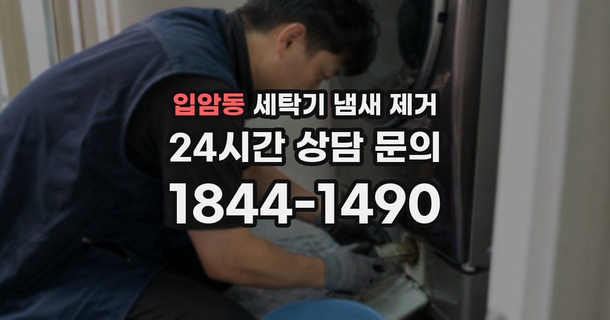 입암동 세탁기 냄새 제거