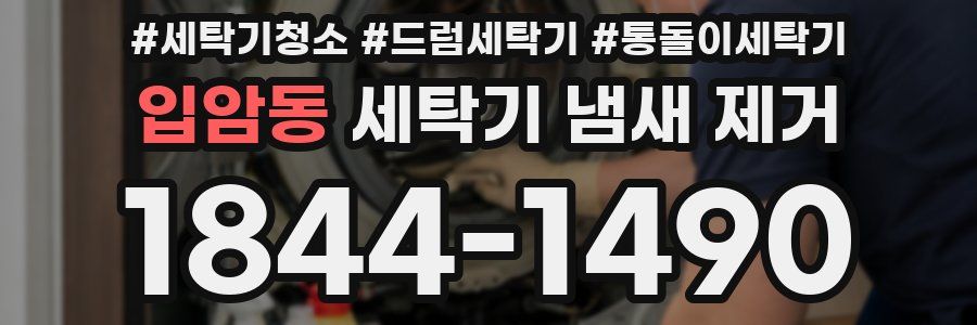 입암동 세탁기 냄새 제거