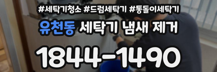 유천동 세탁기 냄새 제거