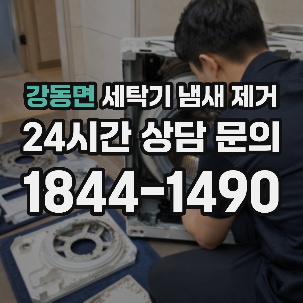 강동면 세탁기 냄새 제거