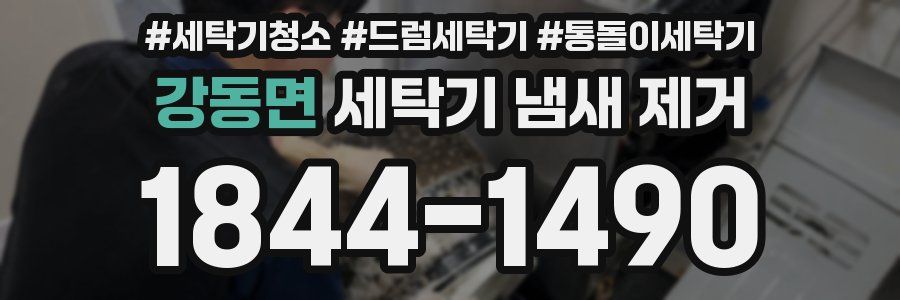 강동면 세탁기 냄새 제거