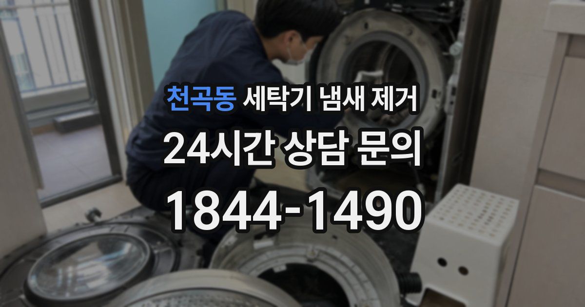 천곡동 세탁기 냄새 제거