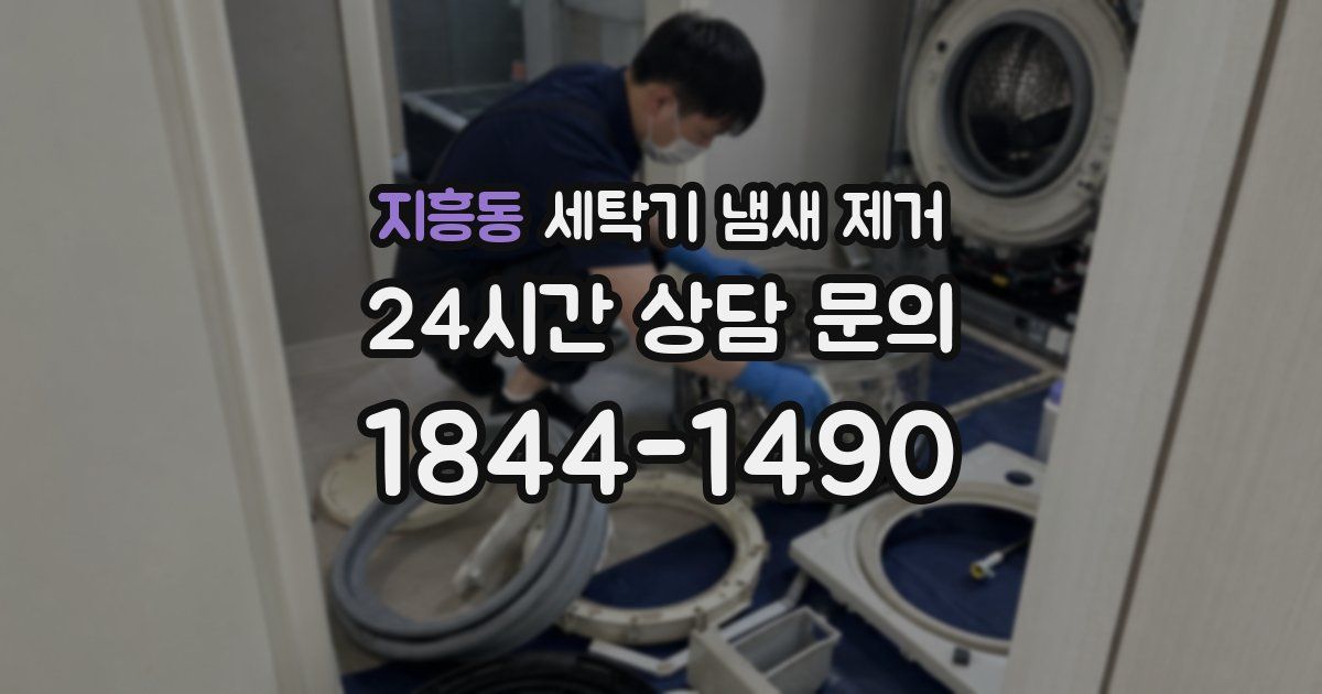 지흥동 세탁기 냄새 제거