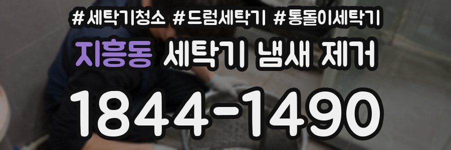지흥동 세탁기 냄새 제거