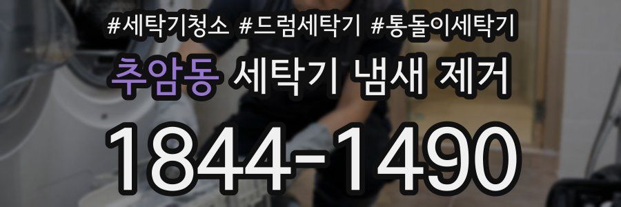 추암동 세탁기 냄새 제거