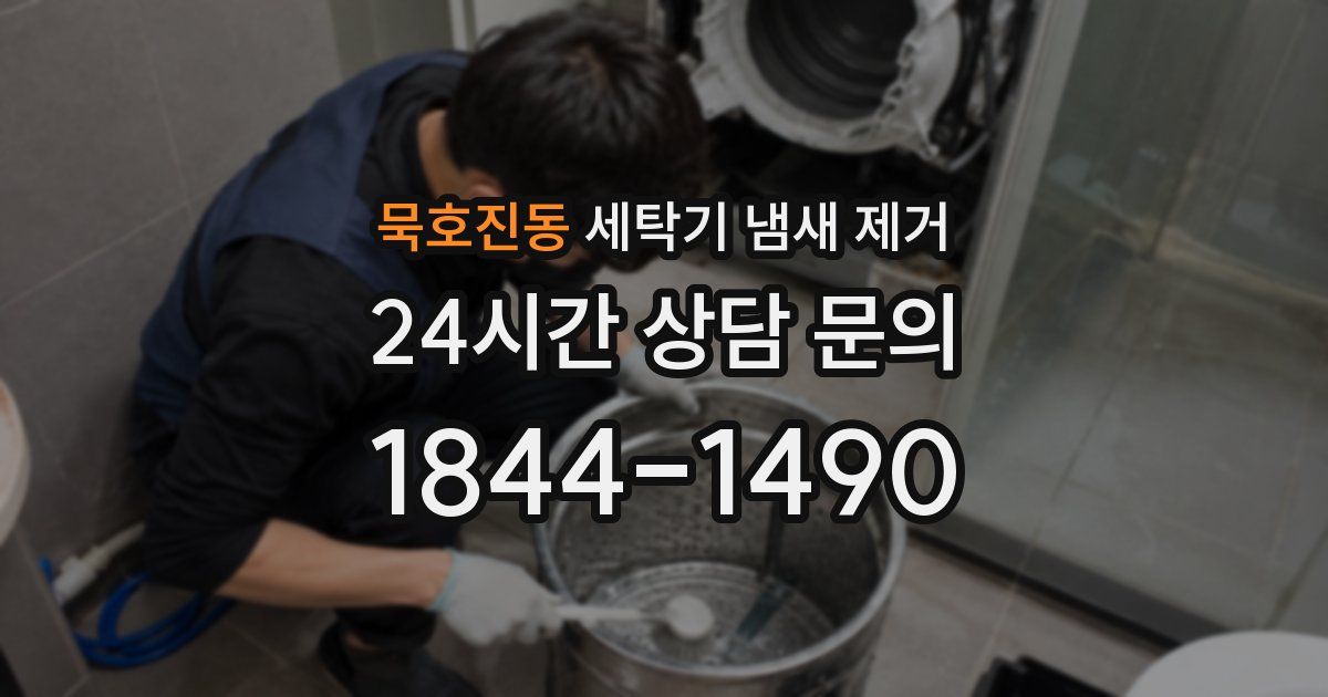 묵호진동 세탁기 냄새 제거