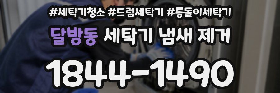달방동 세탁기 냄새 제거