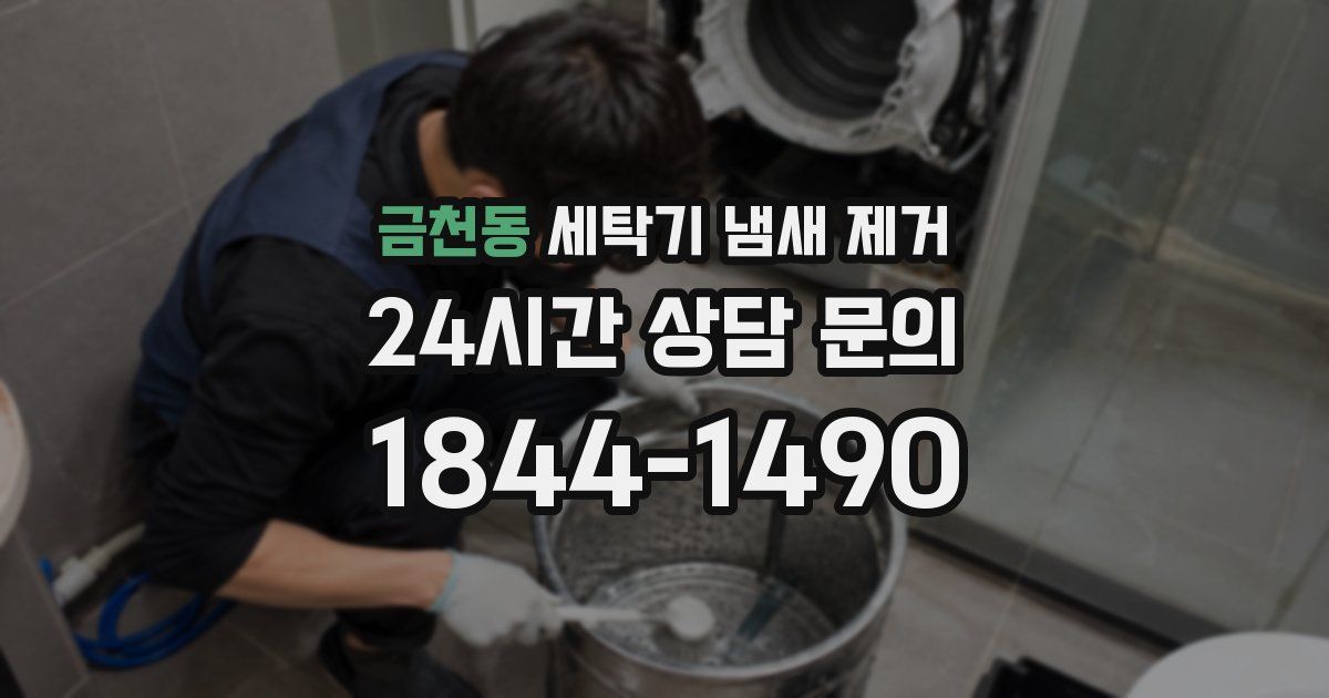 금천동 세탁기 냄새 제거