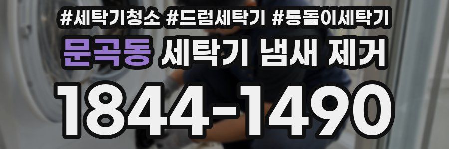 문곡동 세탁기 냄새 제거