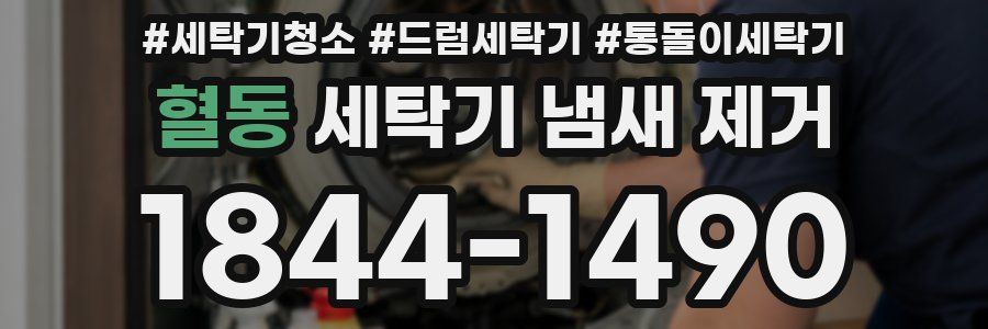혈동 세탁기 냄새 제거