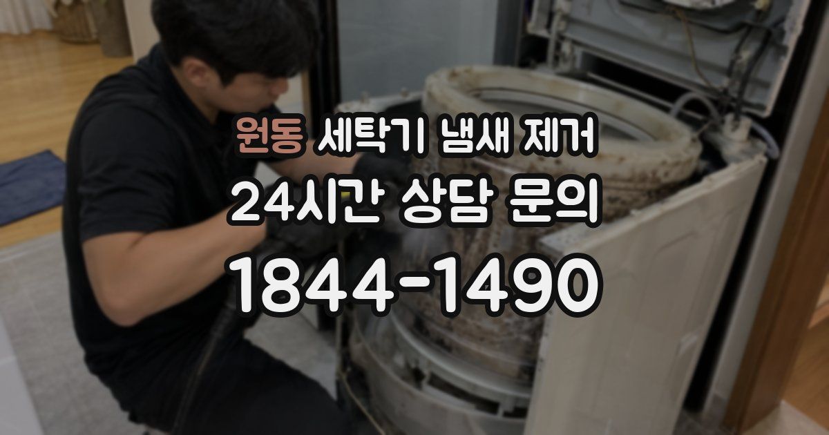 원동 세탁기 냄새 제거