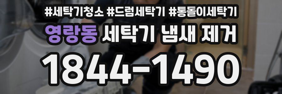 영랑동 세탁기 냄새 제거